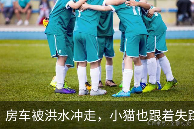 房车被洪水冲走，小猫也跟着失踪，8天后它突然回家了，全家人都哭了