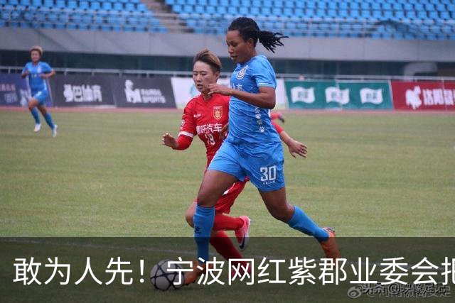 敢为人先！宁波网红紫郡业委会把长期欠物业费业主给强制执行了！